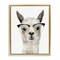 Stupell Industries Farm Animal Llama In Glasses Black Framed Floater Canvas Wall Art